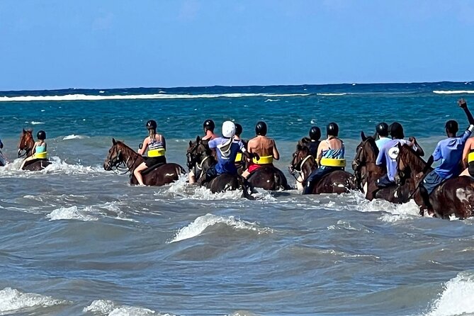 Dunns River Falls and horseback riding activity - Dunn’s River Falls: climb, relax, or take it slowly