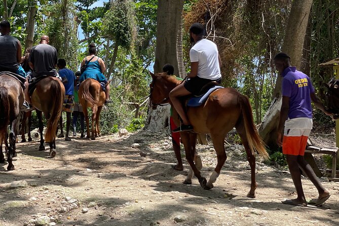 Dunns River Falls and horseback riding activity - What the $115 price really covers