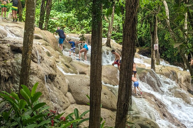 Dunns River Falls, Rafting, Zipline & Horseback from Montego Bay - Who will get the best value