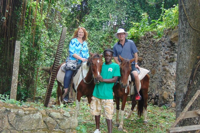 East Coast Horseback Riding & Waterfall Excursion - Key points to know before you book