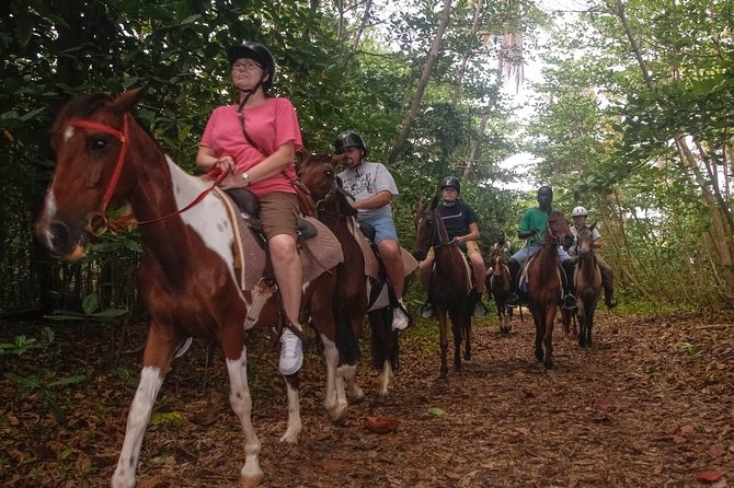 East Coast Horseback Riding & Waterfall Excursion - Fond d’Or Bay, ruins, and the Atlantic shore