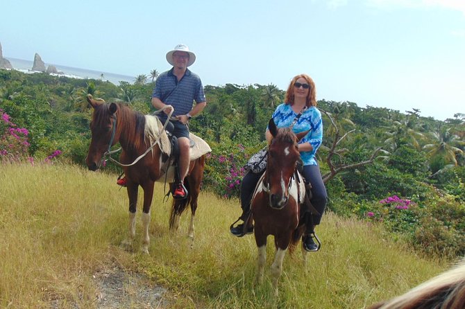 East Coast Horseback Riding & Waterfall Excursion - Dennery Falls after the ride