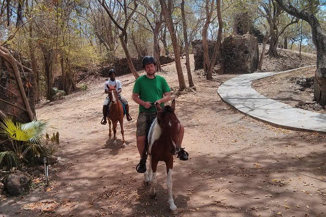East Coast Horseback Riding & Waterfall Excursion - Pickup, group size, and timing
