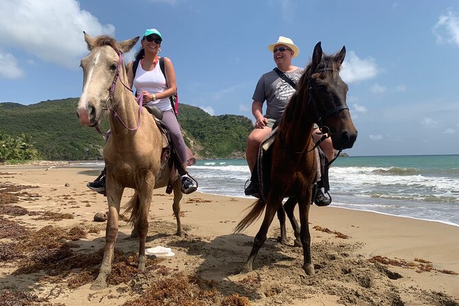 East Coast Horseback Riding, Waterfall & Soufriere Private Tour - Sault Falls, Errand Falls, or Dennery Falls?