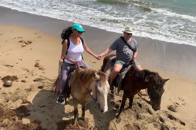 East Coast Horseback Riding, Waterfall & Soufriere Private Tour - Is $240 per person good value?