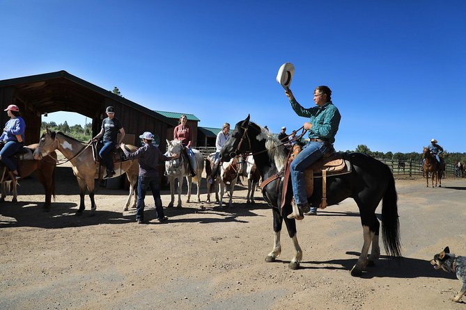 East Zion Pine Knoll Horseback Ride - Desert trails, forest cover, and changing views