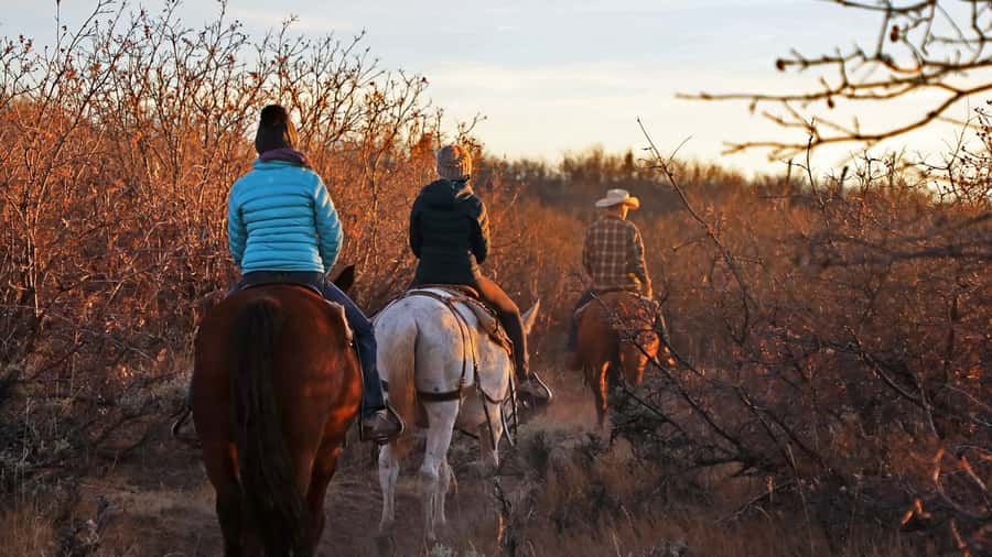 East Zion: Pine Knoll Horseback Tour - Starting with the horse, not the scenery