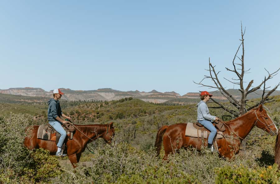 East Zion: Pine Knoll Horseback Tour - The summit view toward Zion National Park