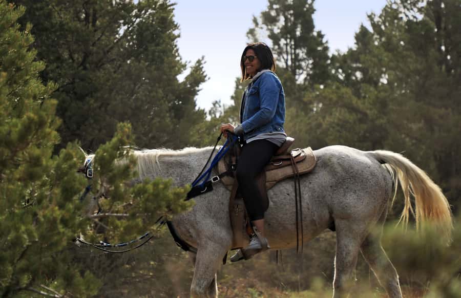East Zion: Pine Knoll Horseback Tour - Climbing Pine Knoll through desert forest
