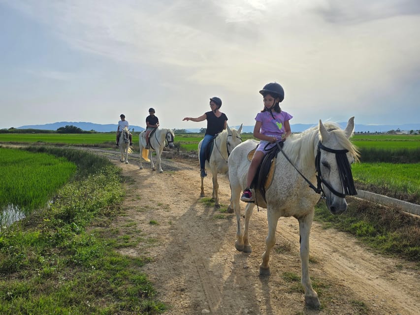 Ebro Delta National Park: Guided Horseback Riding Tour - The 17-minute Jeep ride to the horses