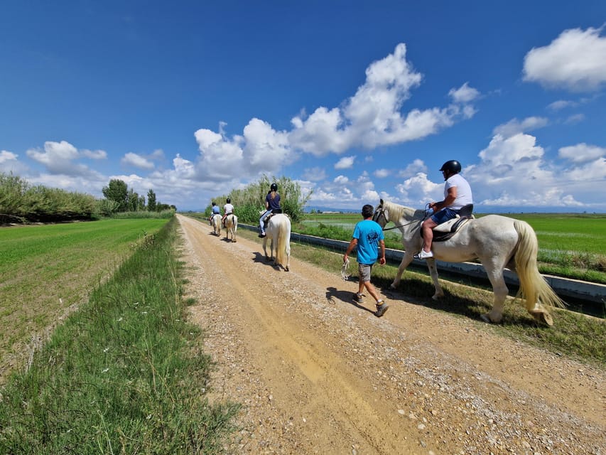 Ebro Delta National Park: Guided Horseback Riding Tour - Rice fields, water, and local farming
