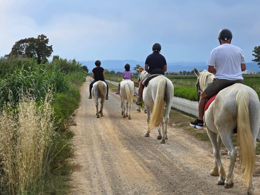 Ebro Delta National Park: Guided Horseback Riding Tour - Who will enjoy this outing most