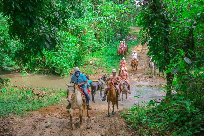Eco Aventure Park+ Zipline+Horseback Ride+Buggy - A Dominican lunch cooked over firewood
