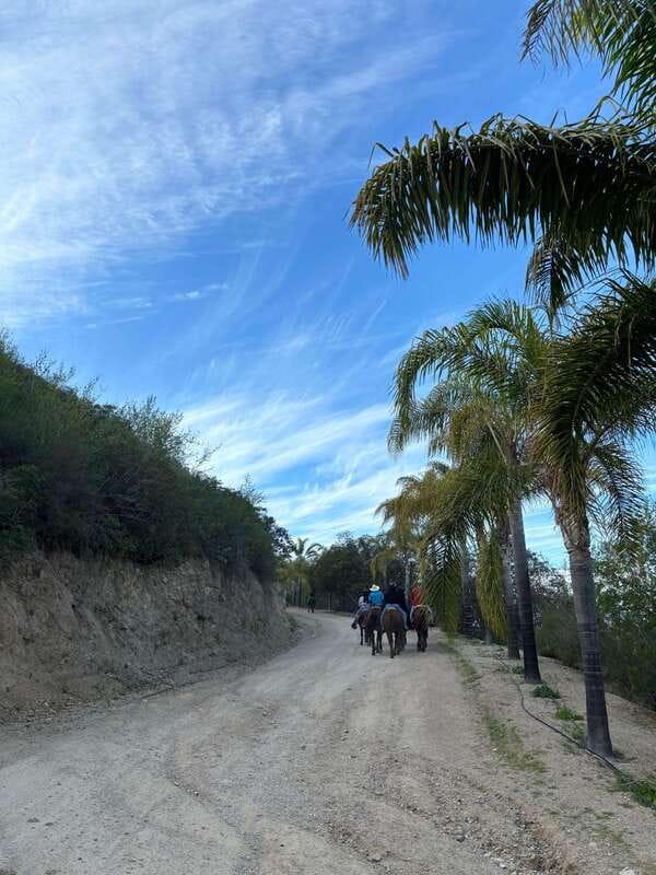 Eco Canyon Horseback Riding Excursion - A gentle 75-minute route through the mountains