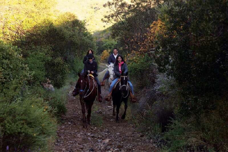 Eco Canyon Horseback Riding Excursion - Who should book this ride