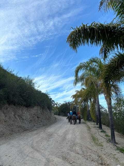 Eco Canyon Horseback Riding Excursion - Timing, cancellation, and the practical details