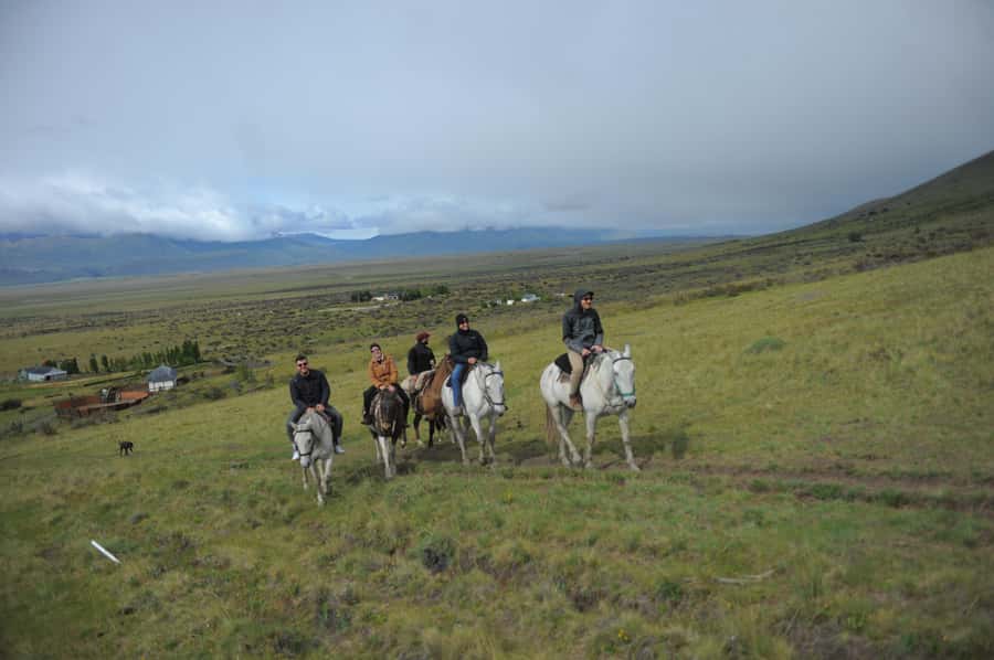 El Calafate: Horseback riding in Cerro Frias - Quiet trails through the lenga forest