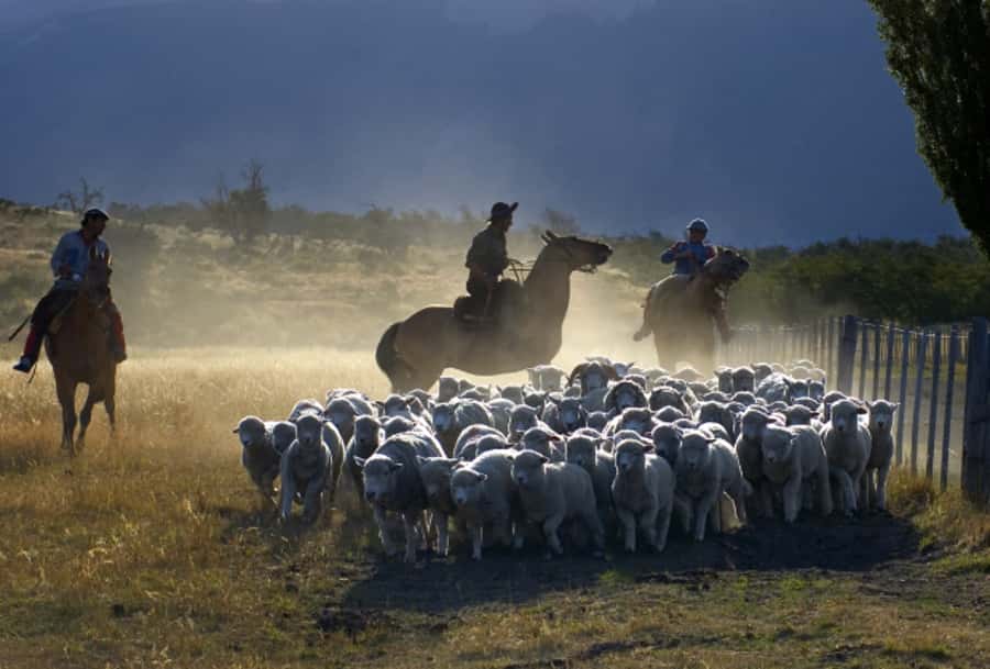 El Calafate: Nibepo Aike Ranch with Horseback Riding - The 45-minute horseback ride with a baqueano