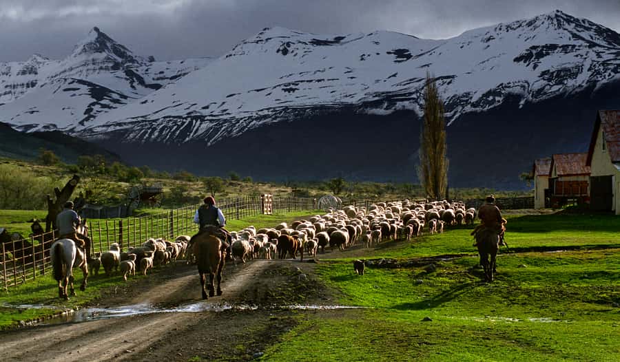 El Calafate: Nibepo Aike Ranch with Horseback Riding - Lunch in the quincho: lamb, wine, and mountain views