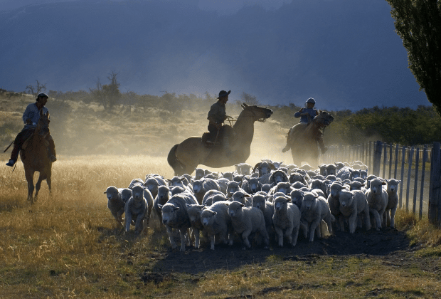 El Calafate: Nibepo Aike Ranch with Horseback Riding - What the $175 price includes