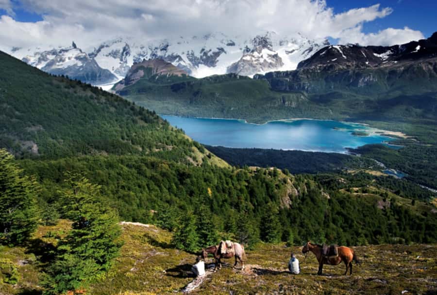 El Calafate: Nibepo Aike Ranch with Horseback Riding - How the seven-hour schedule feels