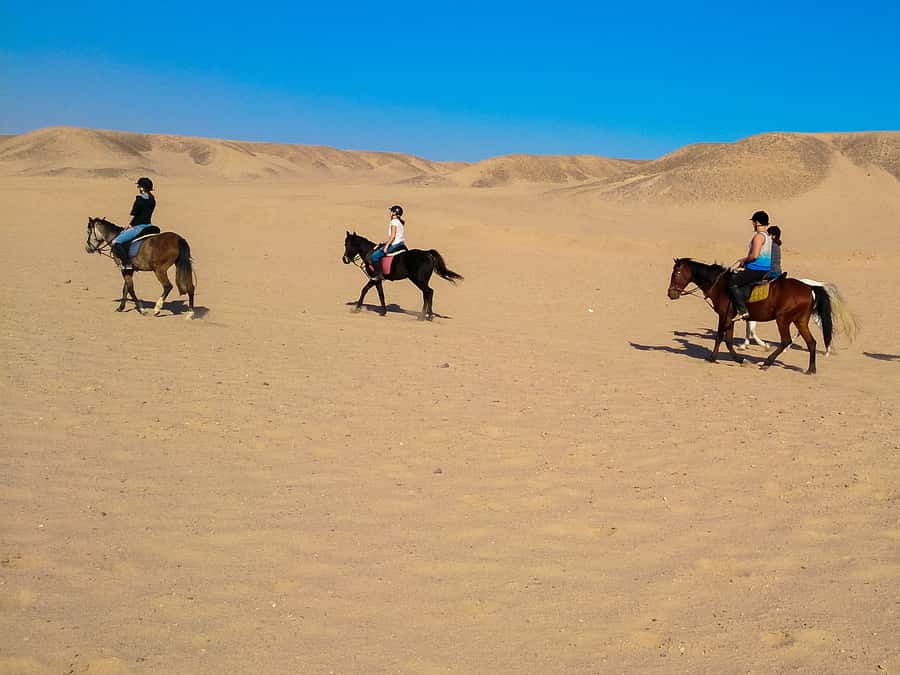 El Gouna: Desert & Sea Horse Riding With Swimming Optional - What to pack and what to leave behind