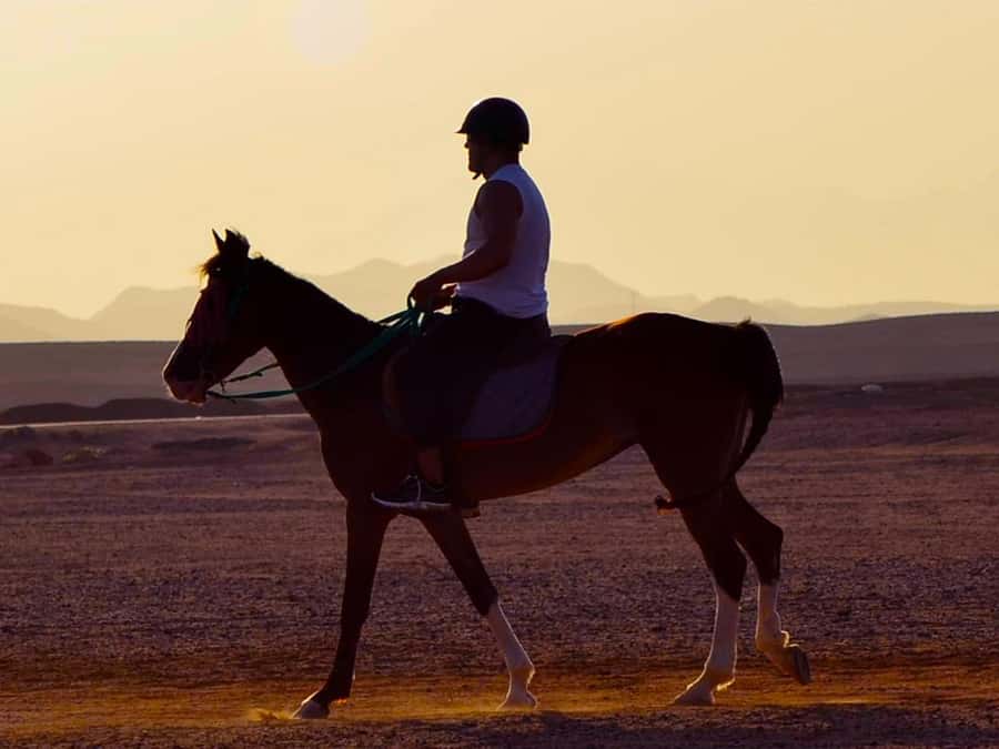 El Gouna: Desert & Sea Horse Riding With Swimming Optional - Desert riding with the Red Sea close by