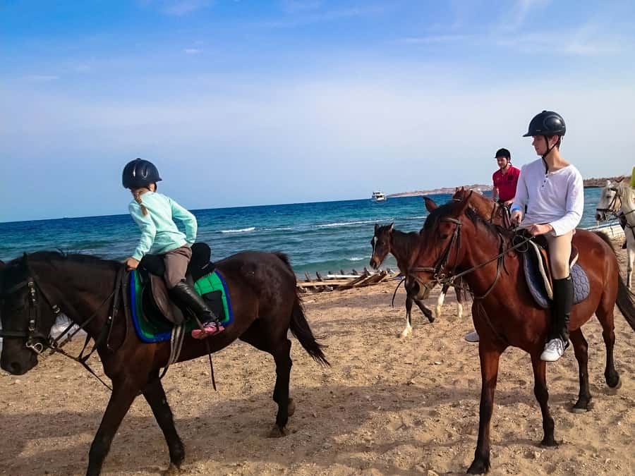 El Gouna: Desert & Sea Horse Riding With Swimming Optional - Choosing between the morning, afternoon, and sunset rides