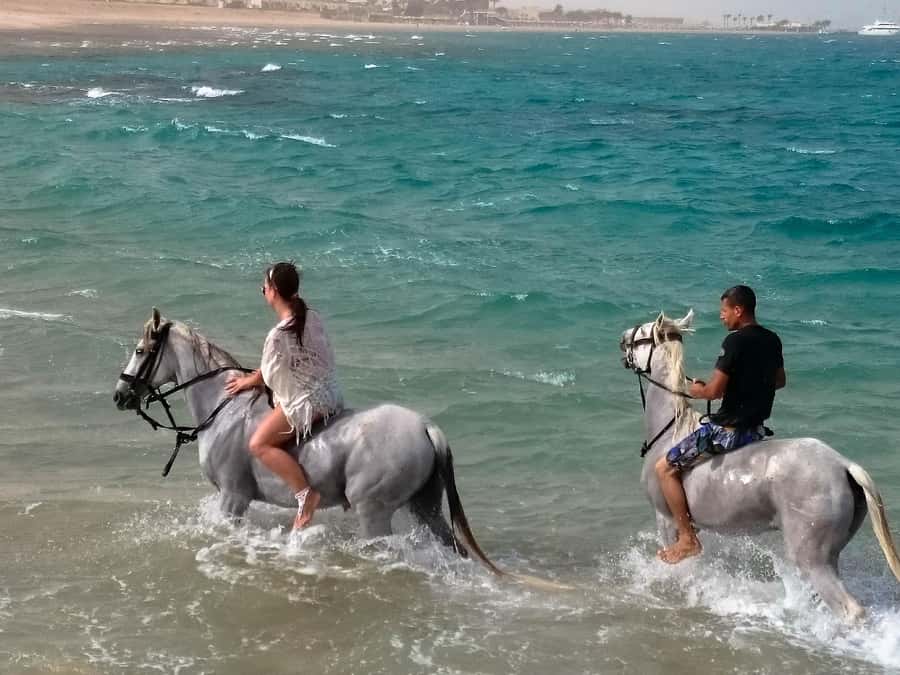 El Gouna: Desert & Sea Horse Riding With Swimming Optional - How the group size affects your experience