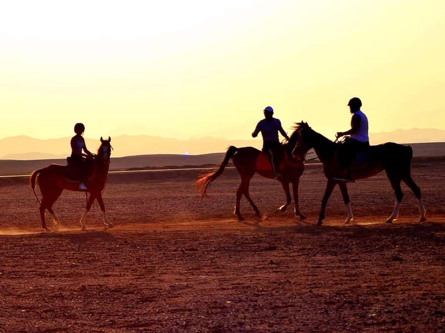 El Gouna: Desert & Sea Horse Riding With Swimming Optional - What happens when you arrive at the stable