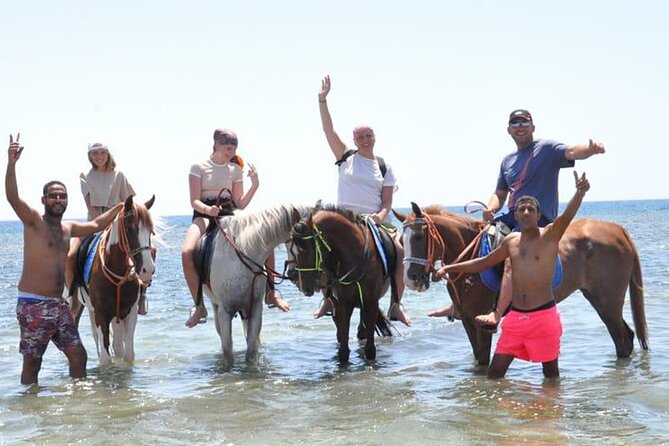 El Gouna Horse Ride Tour - Meeting your horse and judging the pace