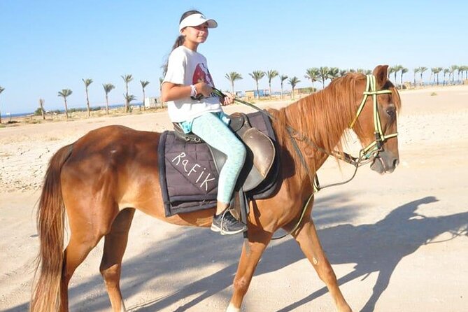 El Gouna Horse Ride Tour - Riding through desert paths and forest tracks