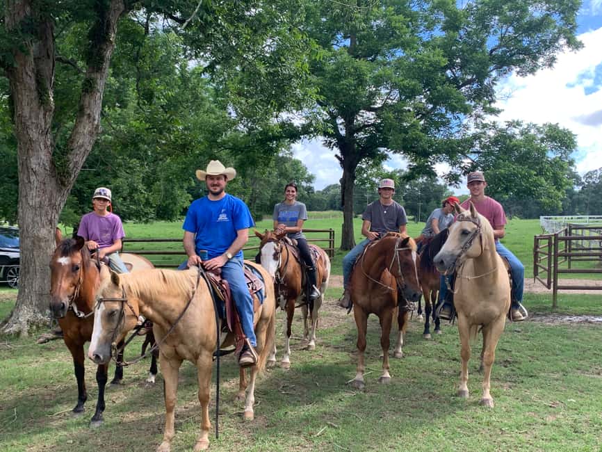 El Limón: Waterfall Horseriding Tour with Lunch - Key points to know before you book