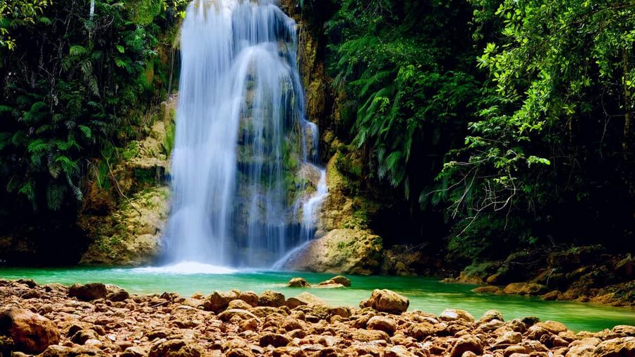 El Limón: Waterfall Horseriding Tour with Lunch - Reaching a 50-meter waterfall in the forest