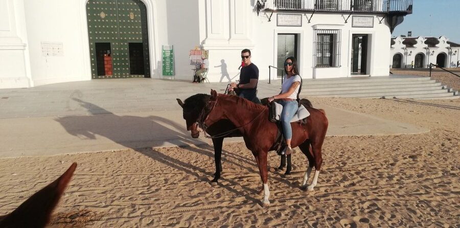 El Rocío: Doñana National Park Horseback Riding Tour - The coastal dunes and views toward the sea
