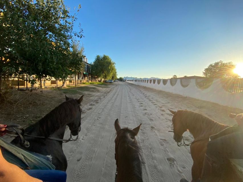 El Rocío: Doñana National Park Horseback Riding Tour - Who will enjoy this ride most