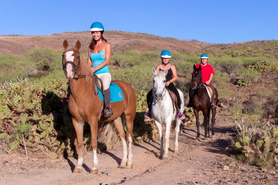 El Salobre: Horse Riding Adventure with Transfer Options - Key things to know before booking