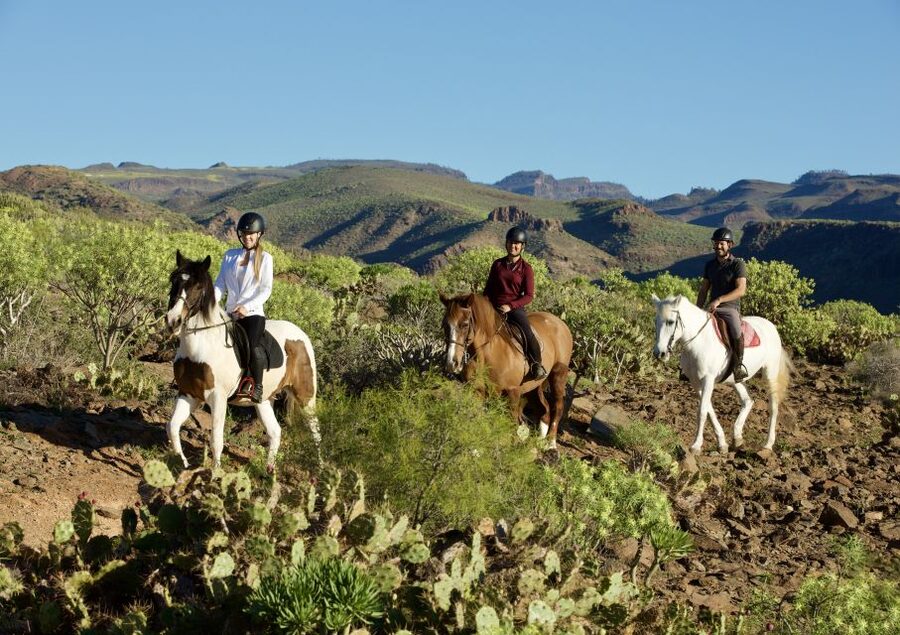 El Salobre: Horse Riding Adventure with Transfer Options - Starting at the El Salobre ranch