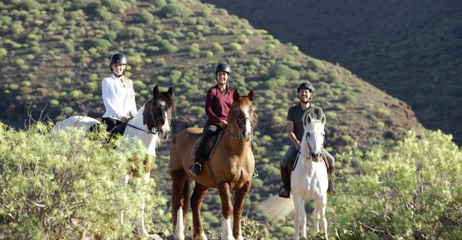 El Salobre: Horse Riding Adventure with Transfer Options - The two-hour route and faster riding