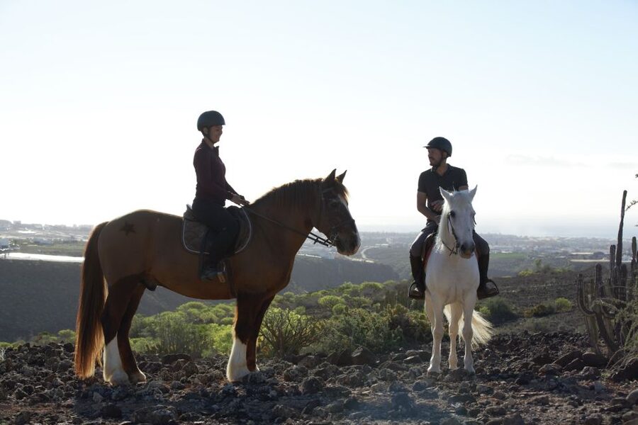 El Salobre: Horse Riding Adventure with Transfer Options - Guides who keep the group together