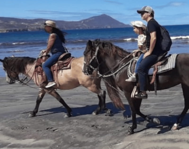 Ensenada: Horseback Riding at Playa Hermosa Beach - What the $64 price gets you