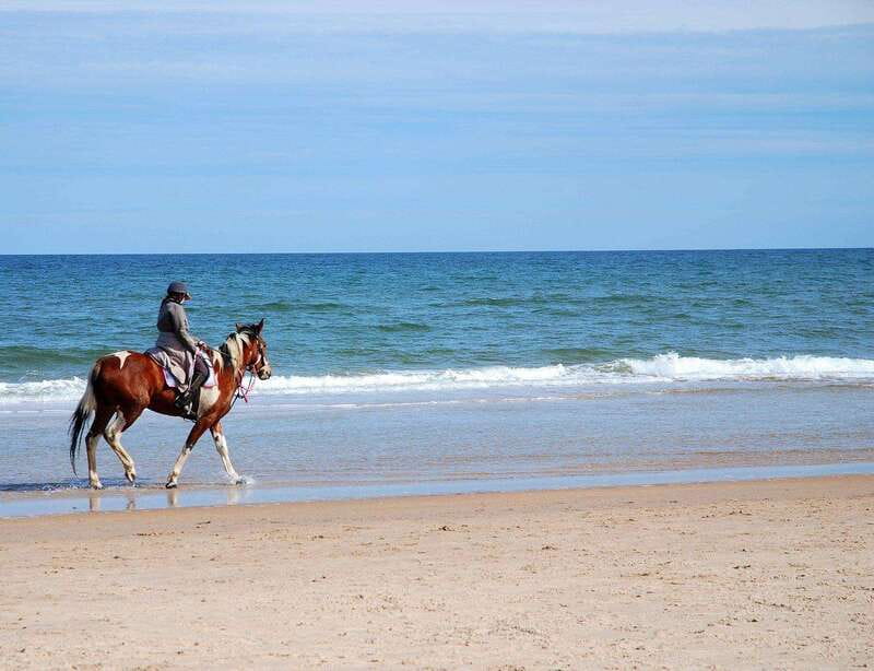 Ensenada: Horseback riding in the beach - A quiet beach ride outside Ensenada