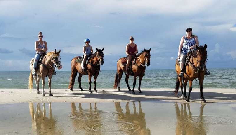 Ensenada: Horseback riding in the beach - Timing, clothing, and cancellation details