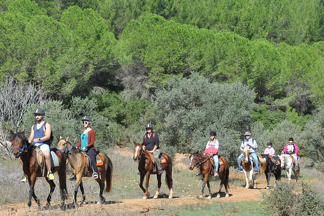Ephesus Full Day Tour & Horse Safari + Lunch - Opt Turkish Bath - Lunch and the Can Carpet stop