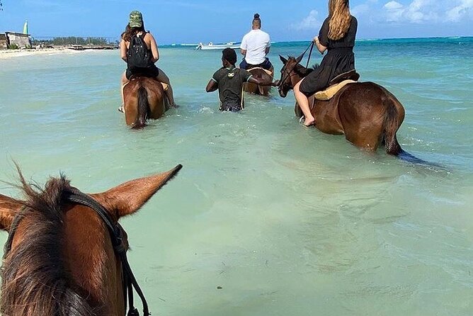 Epic Horseback Ride & Swim and Blue Hole From Montego Bay Private - Two hours on horseback at St. Ann’s Bay