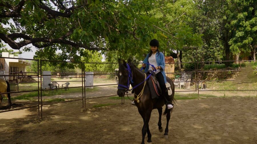 Equestrian Escape: Horse Safari Adventure - Practical Details for a Smoother Visit