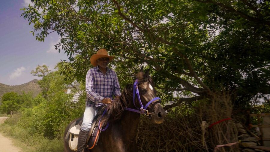 Equestrian Escape: Horse Safari Adventure - Why This Horse Safari Feels Different