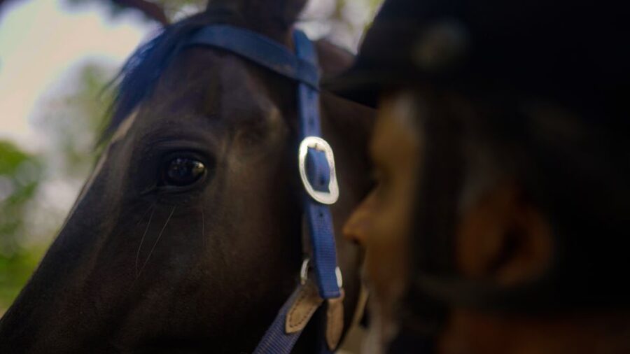 Equestrian Escape: Horse Safari Adventure - Learning About Marwari Horses and Maharana Pratap