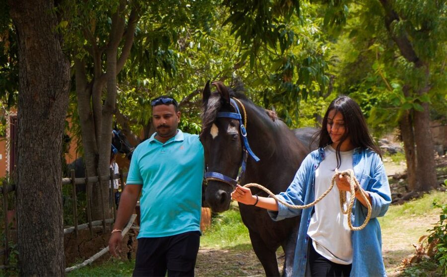 Equestrian Escape: Horse Safari Adventure - From Grooming to the Countryside Trail