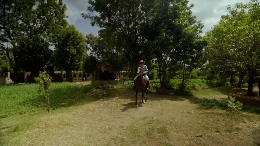 Equestrian Escape: Horse Safari Adventure - What the Two-Hour Schedule Really Gives You